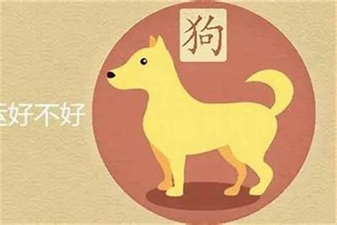 甲戌狗|甲戌年是什么命 甲戌年生人五行属什么